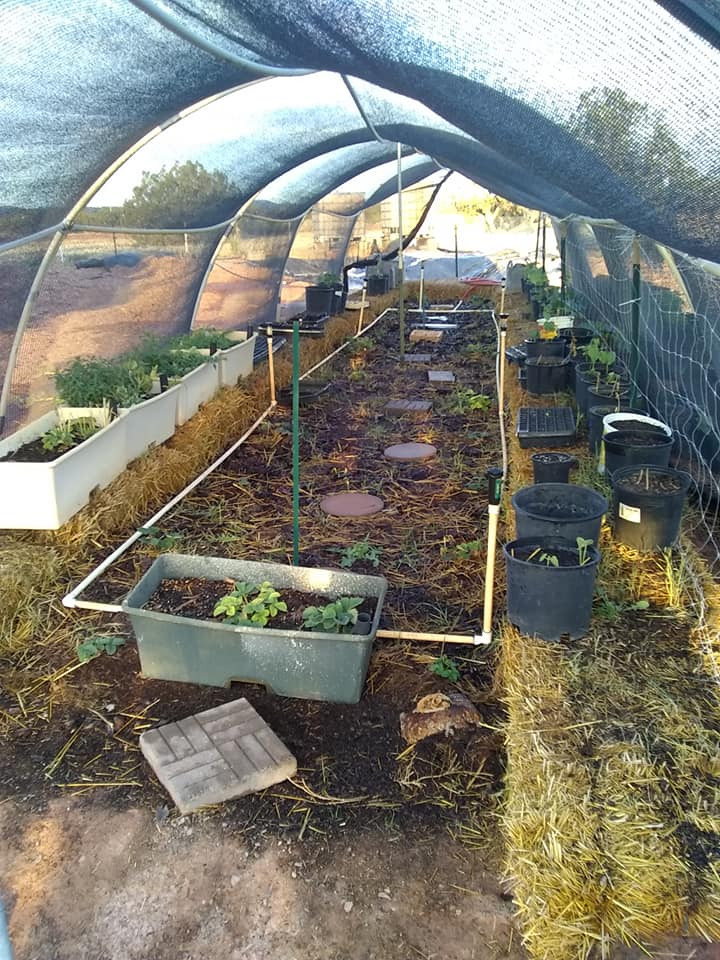Greenhouse with raised beds