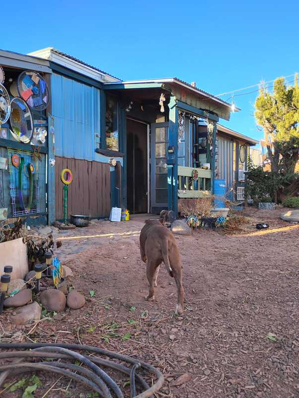 The art studio with a friendly dog
