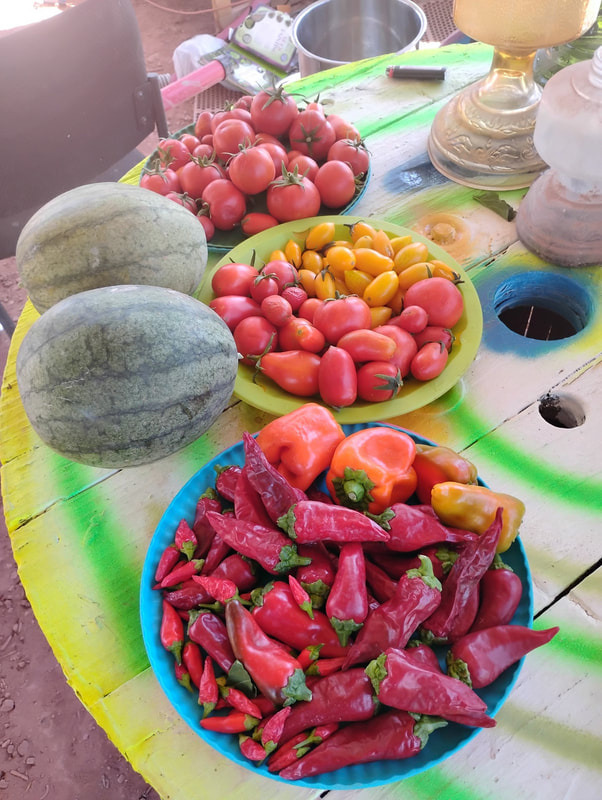Vegetables from the garden